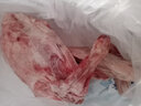 今友牧场内蒙古羊肉礼盒10斤 整羊后腿羊排锡盟羔羊生鲜烧烤食材年货送礼 实拍图