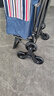 阿蒂亚 购物车能可坐买菜车小拉车超市老人爬楼行李拖折叠拉杆手推车 实拍图