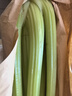 京鲜生山东新鲜大西芹净重4.5斤榨汁现挖芹菜鲜嫩蔬菜 去半叶源头直发 实拍图