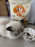 好主人金装好主人猫粮2.0 成猫幼猫蓝猫英短通用全价无谷冻干 【幼猫专用】金装幼猫粮5斤 实拍图