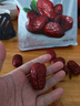 丰域美疆新疆特产大枣子泡水喝煲汤零食大红枣新疆特级一级京东自经营2025 【超特级枣王】阿克苏最好的枣 阿克苏糖心枣-500g 实拍图