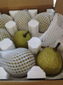 【顺丰】莱阳慈梨 山东烟台莱阳茌梨特产贡梨脆甜梨子 新鲜水果 5斤大果 7-8个 照旺庄百年老梨树 实拍图