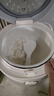 小熊（Bear）电饭煲 电饭锅 家用2-3人一键快煮智能防溢可预约陶瓷油元釜柴火饭米饭锅3L DFB-C30L3 实拍图