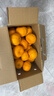 万春寨正宗永春芦柑5斤/10斤礼盒装新鲜现摘橘子柑桔 桔子当季水果大果 【优选大果】果径75mm礼盒（净重9.2斤）10斤装 实拍图