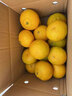 京觅江西赣南会昌桔柚 9斤净重黄金贡柚 甜橘子大果75mm+水果源头直发 实拍图