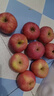 京鲜生 烟台红富士苹果 净重10斤 单果190g以上 生鲜水果 礼盒装 实拍图