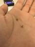 喜上眉梢喜饰黄金古法金珠999足金散珠硬金光面磨砂转运珠路路通圣诞礼物 3mm 重工古法珠两颗  0.2g 实拍图