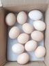 京鲜生无抗保洁鲜鸡蛋15枚1.5斤源头直发  实拍图