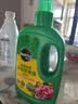 美乐棵植物营养液磷酸二氢钾花肥兰花月季水培花卉绿植发财树营养液肥料 通用型720ml 实拍图