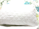 洁丽雅（Grace）纤维枕 星级酒店枕头枕芯 46*72cm 一对装（2只装） 实拍图