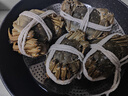 【活蟹】乾澄大闸蟹现货公蟹4.5两母蟹3.5两 4只2对 特大鲜活螃蟹河蟹海鲜礼盒源头直发 实拍图