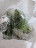 云南味浓香菜100g 实拍图