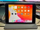 适用ipad789保护套10.2英寸10.9平板帕恰狗24air456迷你5苹果9代卡通2021mini6新款五六代壳7.9pro 书本款小熊帕恰狗 iPad Mini4/5(7.9英寸) 实拍图