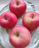 京鲜生 烟台红富士苹果 净重5.2斤/12粒  单果190-240g  水果礼盒 实拍图