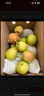 京鲜生 新疆库尔勒香梨 净重4.5斤 单果140g以上 生鲜水果 礼盒装 实拍图