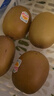 佳沛（zespri）新西兰  阳光金奇异果25-27粒原箱特大果单果约122-146g  猕猴桃 实拍图