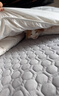 富安娜A类羊毛被澳洲进口51%羊毛被子双人抑菌春秋被芯约5.6斤203*229cm 实拍图