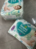 帮宝适（Pampers）清新透气 清新帮 XL84片【清新帮拉拉裤】 实拍图