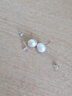 DAISY DREAM925银法式扁圆馒头施家大珍珠耳钉女轻奢气质高级耳环时尚耳饰 10mm扁圆馒头珍珠耳环【925银】 直针样式 实拍图