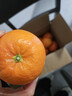 京觅秭归纽荷尔脐橙4.5斤单果190g+商超同款好货 甜橙子新鲜源头直发 实拍图