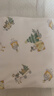 十月结晶婴儿包单秋冬季新生儿婴儿包被防惊跳纯棉抱被产房用品 松林漫步【四季双层】柔软包边 85*85cm 实拍图