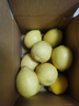 京鲜生 安岳黄柠檬 8粒 单果95-120g 生鲜水果 实拍图
