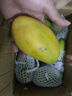 集南鲜 越南青玉芒果 芒果当季大青皮黄皮大芒果新鲜水果整箱 含箱5斤  单果250g起  净重4.5斤 实拍图