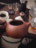 百年利永宜兴紫砂壶纯全手工原矿大红袍西施壶功夫茶具泡茶壶一壶两杯套装 实拍图
