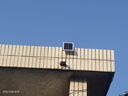湘哲太阳能照明灯户外庭院灯家用太阳能路灯防水LED投光灯1000W+5米线 实拍图