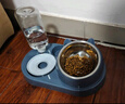 憨憨乐园 猫碗狗碗宠物食盆猫咪双碗粮盆自动饮水机喝水器喂食用品 蓝 实拍图