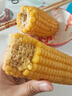 云南高原新鲜水果玉米起脆甜爆浆可生吃现采现发300g/棒营养早餐 水果玉米1.8-2斤含箱 实拍图