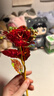 七彩炫光玫瑰花星空彩金浪漫情人节七夕送老婆女友生日礼物金箔 彩金红玫瑰花 【送它一朵永不凋零的爱意玫瑰】 实拍图