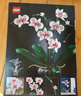乐高（LEGO）积木拼装10311 兰花永生花男孩女孩女生玩具生日新年礼物 实拍图