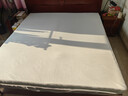红豆泰国进口天然乳胶床垫7.5cm厚 瑞士防螨外套 1.8x2米 软硬适中 实拍图
