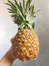 译优农正宗海南金钻凤梨新鲜热带水果当季香水金菠萝手撕小菠萝金凤梨 净重4.5-5斤【实惠装】海南直发 实拍图
