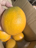 赣南脐橙 正宗赣南脐橙 江西赣州橙子手剥橙新鲜水果礼盒当季现摘时令生鲜 5斤优选单果170-220g净重4.5斤+ 实拍图