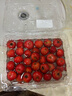 京鲜生 甜红子红山楂 新鲜山楂300g 尝鲜装 生鲜水果 实拍图