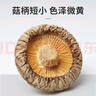 十月稻田 香菇 200g 干香菇 厚蘑菇冬菇 山珍菌菇干货 煲汤火锅炒菜食材 实拍图