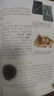 大中华寻宝记系列（套装29-32册）内蒙古+山西+吉林+宁夏）儿童中国地理科普知识百科漫画书暑假作业 一升二暑假衔接 小升初暑假衔接 实拍图