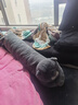 野兽派家居（tbh）懒蓝猫长条抱枕 枕头靠垫家用客厅沙发腰枕床头靠枕礼物 懒蓝猫条形抱枕22X115cm 0cm*0cm 含枕芯 实拍图