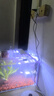 LED全光鱼缸灯同款水族箱鱼缸照明灯架水草灯增艳发色灯神灯节能 6瓦蓝白光18cm（适合20-30cm鱼缸） 四排灯珠 实拍图