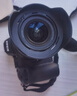 尼康（Nikon）Z5 24-50mm f/4-6.3【金榜爆款】全画幅微单套机 Vlog相机 视频拍摄 USB供电 实拍图