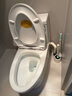 威博朗 提升泵马桶污水粉碎提升坐便器卫生间别墅地下室提升电动马桶 05-250可连台盆 实拍图