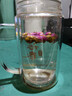 福东海  玫瑰花茶100g花草茶大朵【特优当季新货】平阴重瓣干 养生茶叶 实拍图