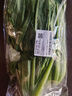 油麦菜约300g 实拍图
