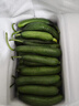 京喜加新鲜无刺水果小黄瓜小青瓜脆甜荷兰脆嫩生吃黄瓜蔬菜 水果黄瓜 2斤 带箱活动 实拍图