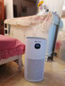 诺森柏格（Nocenbeger）空气净化器家用0臭氧分解除甲醛除菌消除异味除过敏原雾霾二手烟负离子净化器G6plus 【升级款】除甲醛空气净化器G6PLUS 实拍图