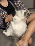 味当家吨吨罐升级版猫罐头全新系列湿粮成猫幼猫慕斯零食鸡丝罐头 3箱*6罐【第3箱0元 新客推荐】 实拍图