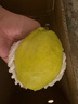 京鲜生 新疆特级库尔勒香梨 净重5斤单果120g以上 生鲜水果 实拍图