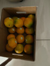 褚橙 云冠橙云南冰糖橙 特级 净重10斤 单果约165g  水果源头直发 实拍图